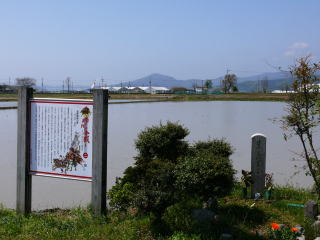 �o�썇��ʐ^-16