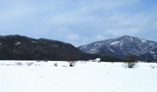 ���T�����ʐ^-15