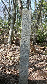 ���T�����ʐ^-21