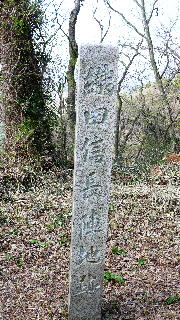 ���T�����ʐ^-20