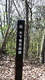 ���T�����ʐ^-19