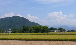 ���T�����ʐ^-13