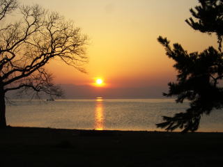 ���T�����ʐ^-12