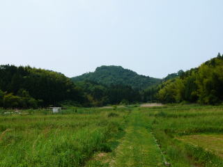 ���T�����ʐ^-7