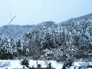 �˃��x�̐킢-10