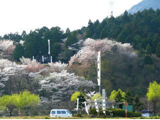 �փ����̐킢-14