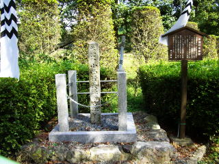 �փ����̐킢-19