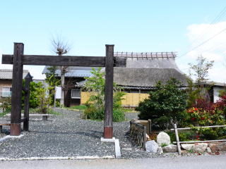 ��������-9