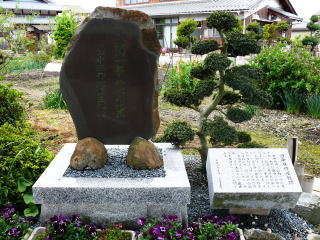 ��������-13