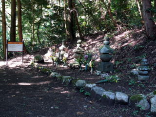 �k���e����-5