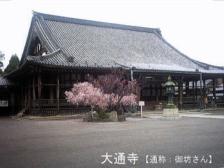 ������-5