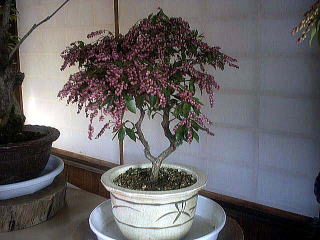 ������-3