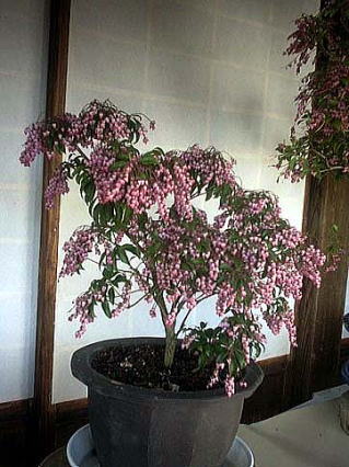 ������-4