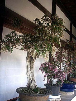 ������-1