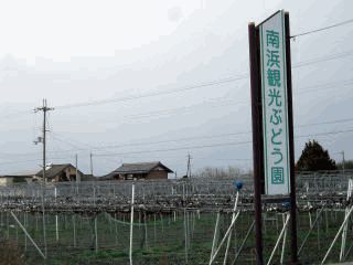 �G�ߌ���-10