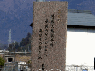 �G�ߌ���-7