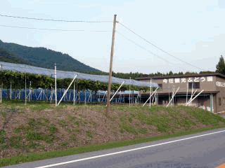 �G�ߌ���-9