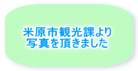 �Č��s�ό��ۂ�� �ʐ^�𒸂��܂���